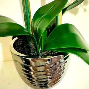 White Phanaenopsis realistic silk Orchid arrangement in a beautiful silver pot.